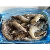 南美白蝦