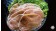 【寶村豐】里肌燒肉片