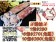 【寶村豐】透抽2入（屬低溫產品,請與常溫產品分開結帳）